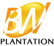 BW Plantation Indonesia Investments Van der Schaar Investments B.V. Vaandelstraat Delft Eagle High Plantations Indonesia Investments Van der Schaar Investments B.V. Vaandelstraat Delft