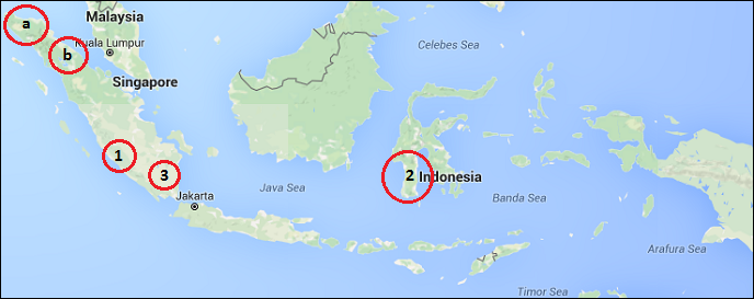 Coffee Production and Export Indonesia