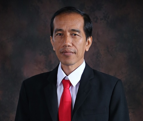 What are the Economic & Social Development Targets of Joko Widodo?